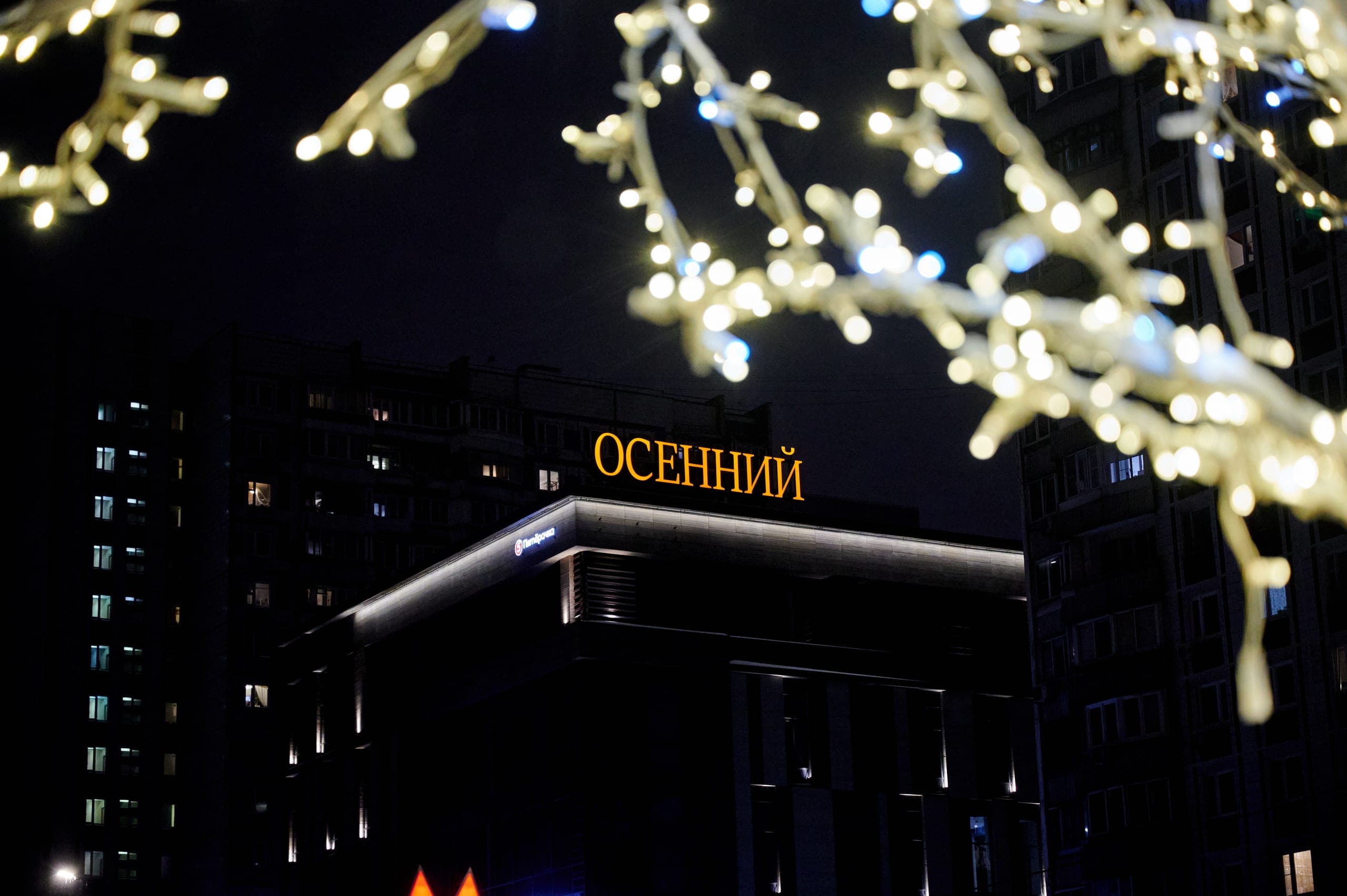 Световые деревья на Осеннем бульваре