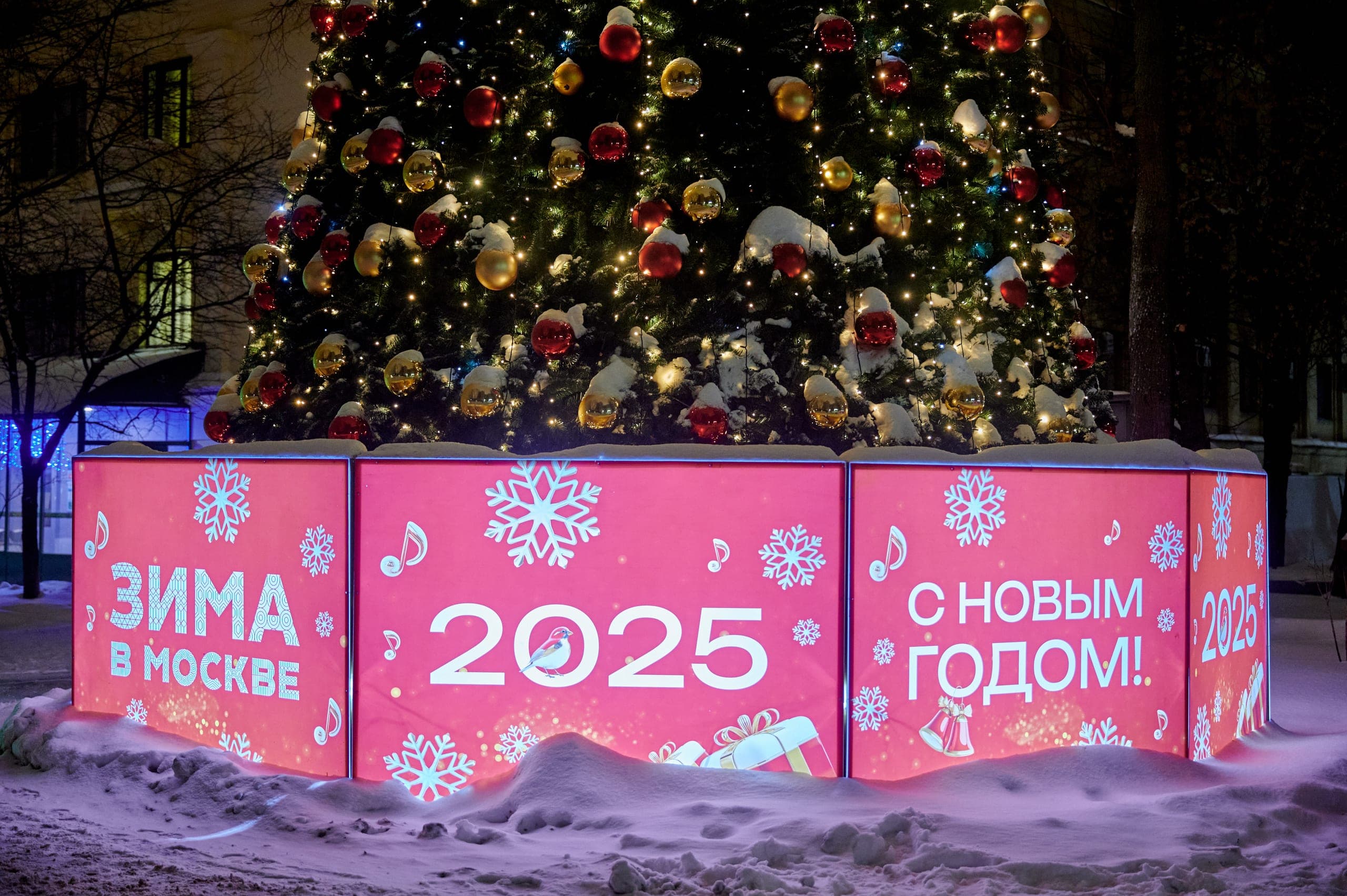 Декоративная новогодняя ель у здания РГГУ